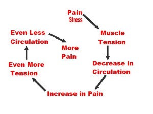 Pain-Spasm-Cycle